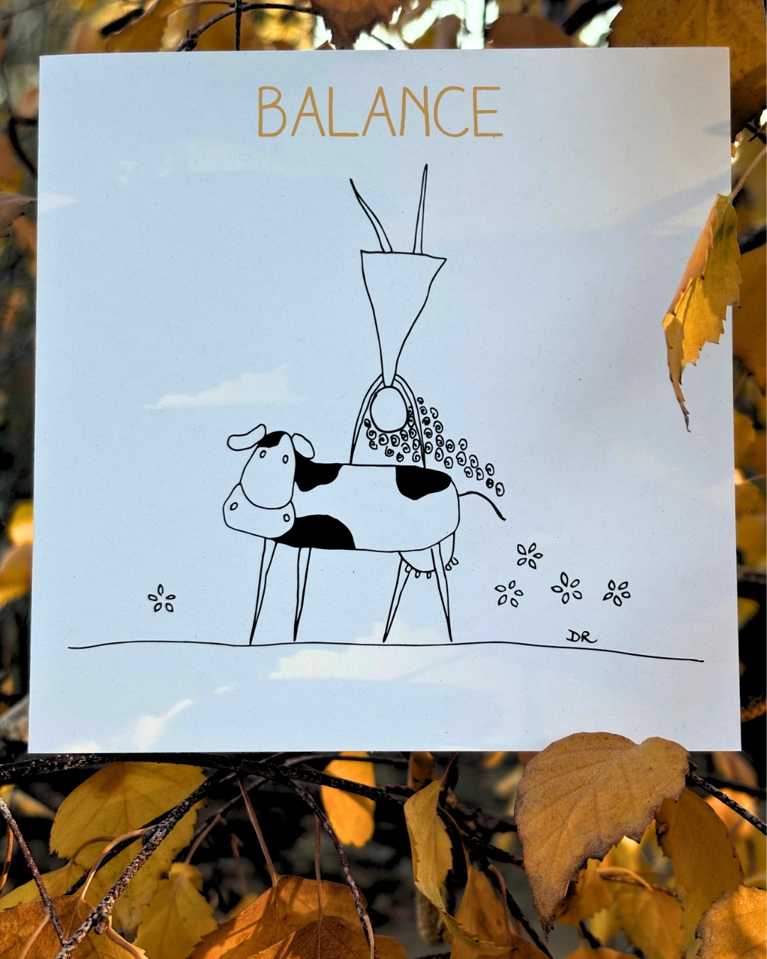 Balance card